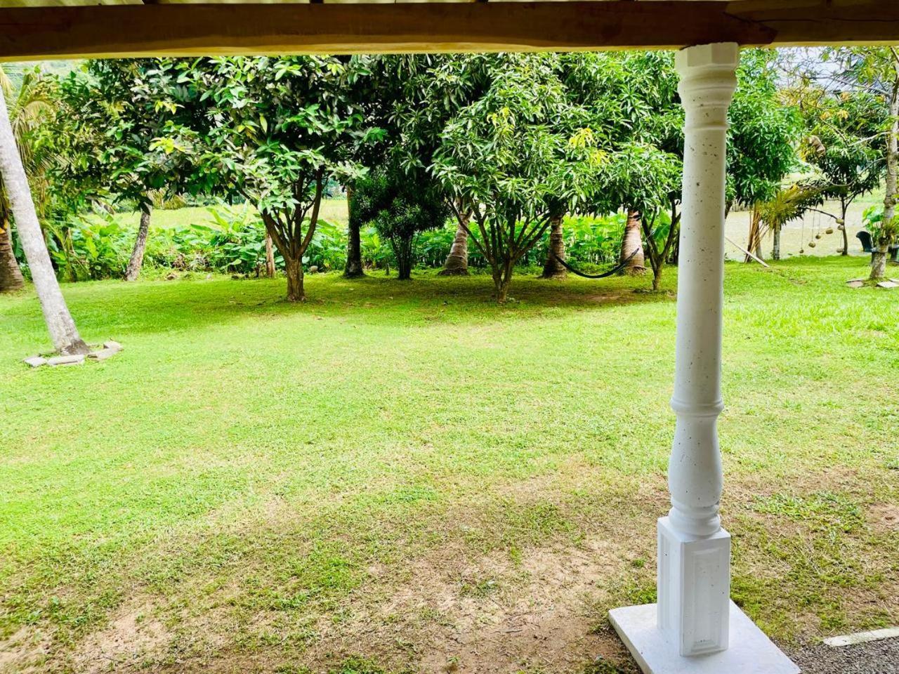 Secret Garden Mirissa Villa Exterior photo